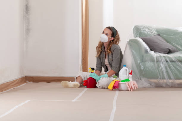 Reliable Black Mold Remediation contractor in Richfield, MN by Car Mold Remediation